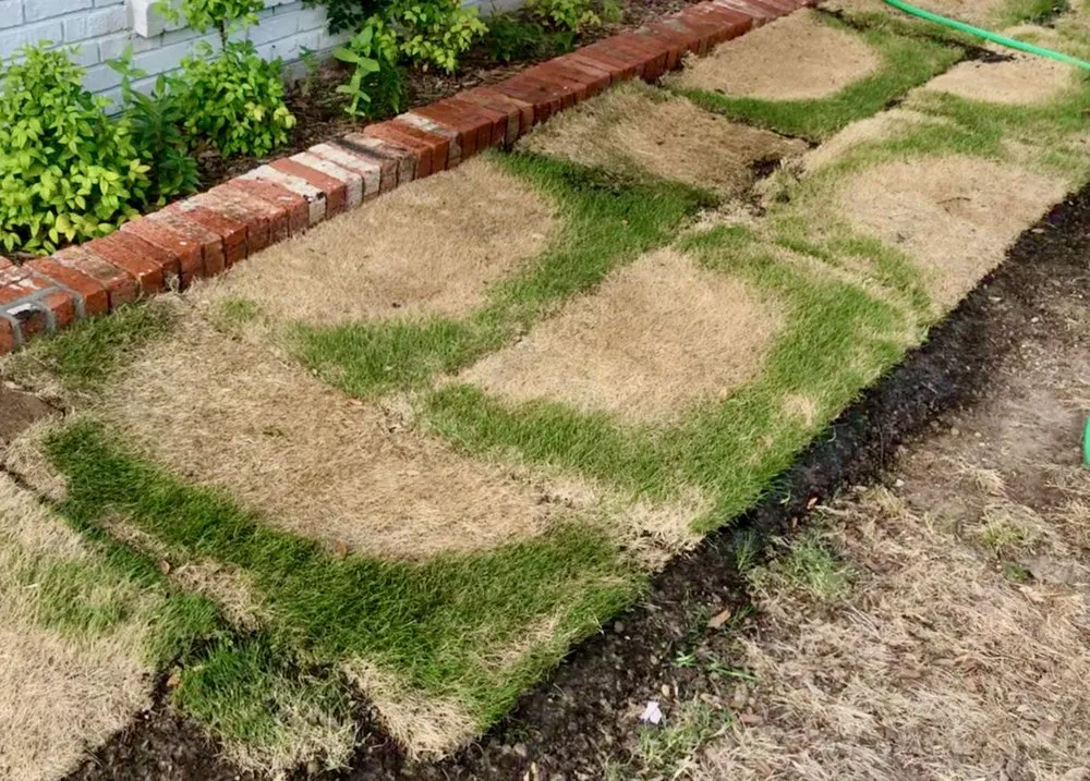 Custom landscaping services in North Richland Hills, TX by Tex Turf Sod