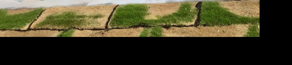 Top-rated landscape installation in North Richland Hills, TX by Tex Turf Sod