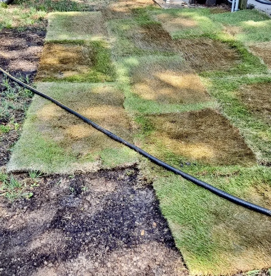 Expert outdoor landscaping near you in North Richland Hills, TX by Tex Turf Sod
