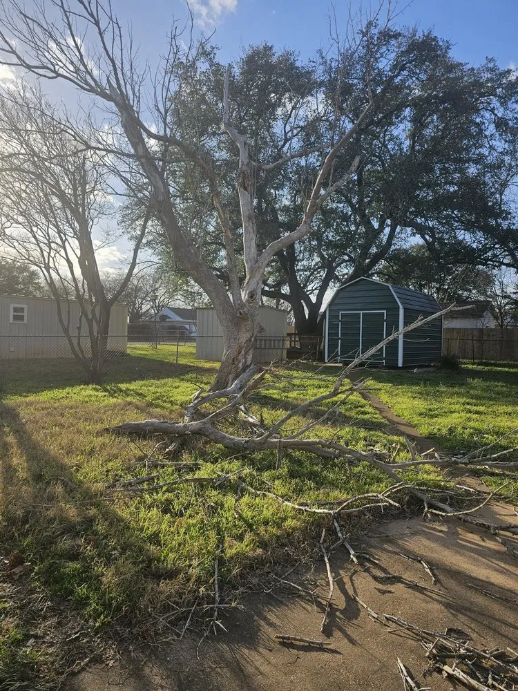 Custom lawn care service in Waco, TX by Tex Vet Trees And Landscaping