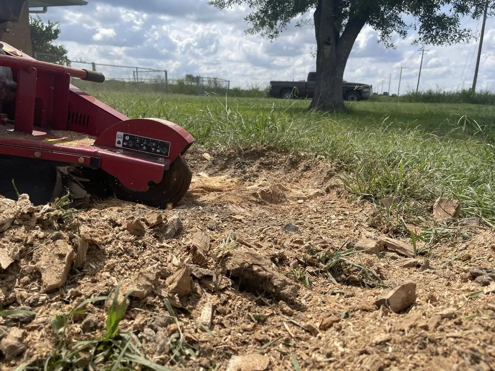 Expert landscape design with custom design across Waco, TX - Tex Vet Trees And Landscaping