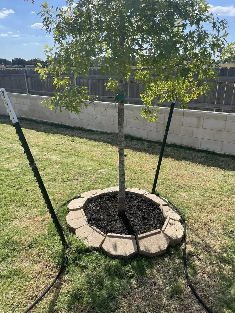 Custom landscape installation for homes across Waco, TX - Tex Vet Trees And Landscaping