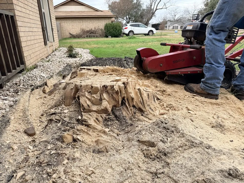 Reliable outdoor landscaping in Waco, TX - Tex Vet Trees And Landscaping