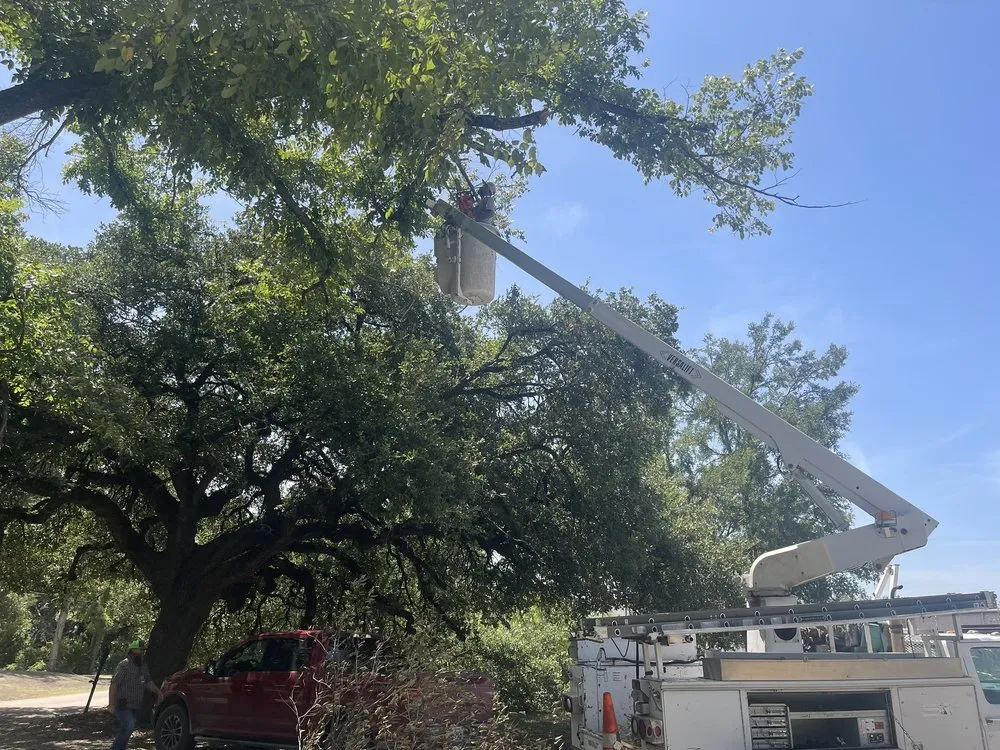 Custom lawn mowing service with custom design across Waco, TX - Tex Vet Trees And Landscaping