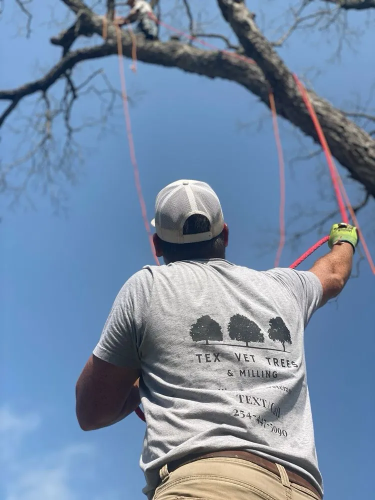 Local garden landscaping in Waco, TX by Tex Vet Trees And Landscaping