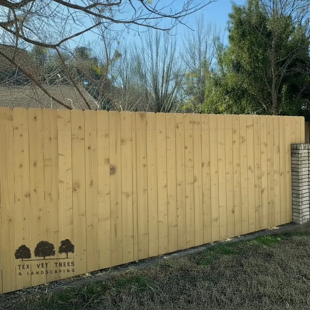 Top-rated yard maintenance in Waco, TX - Tex Vet Trees And Landscaping