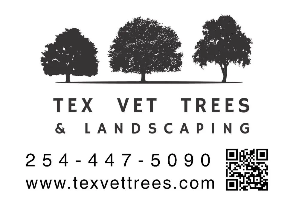 Local yard cleanup service in Waco, TX by Tex Vet Trees And Landscaping