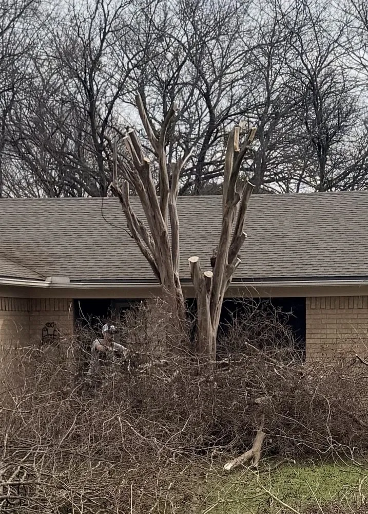 Expert outdoor landscaping in Waco, TX by Tex Vet Trees And Landscaping