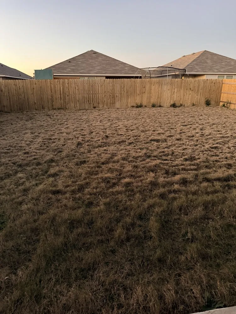 Expert landscaping services in Waco, TX by Tex Vet Trees And Landscaping