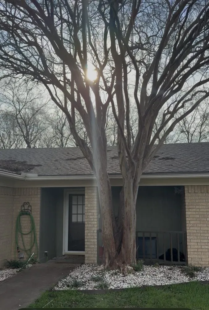 Local yard maintenance in Waco, TX - Tex Vet Trees And Landscaping