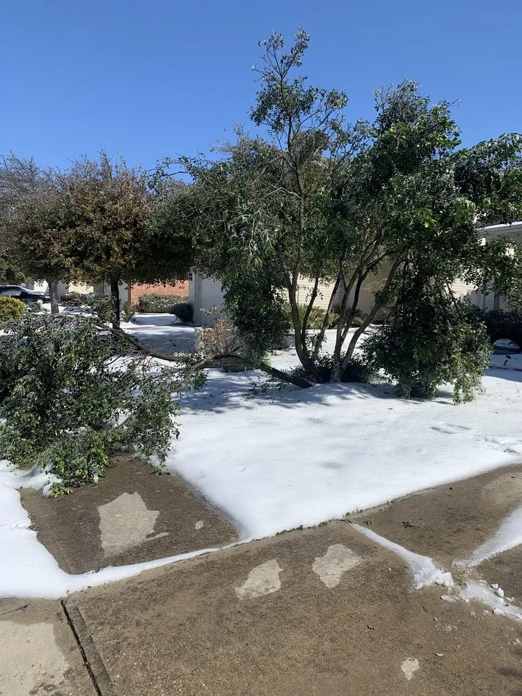 Local residential landscaping for beautiful yards in Pflugerville, TX by Tex-Zarc Landscaping