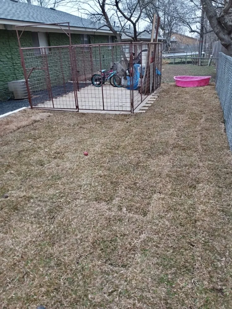 Reliable lawn mowing service for residential properties in Pflugerville, TX by Tex-Zarc Landscaping