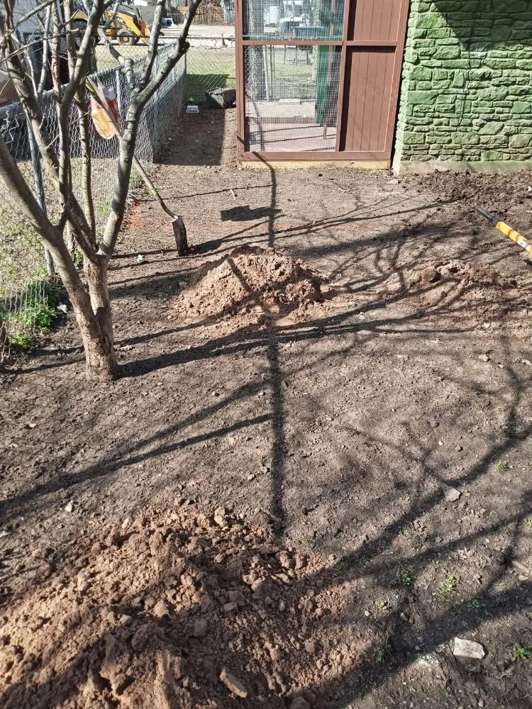 Affordable lawn mowing service for outdoor upgrades across Pflugerville, TX - Tex-Zarc Landscaping