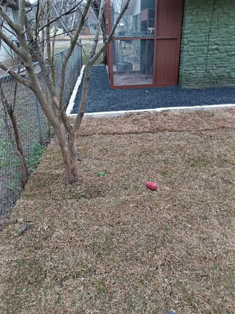 Custom yard cleanup service in Pflugerville, TX - Tex-Zarc Landscaping