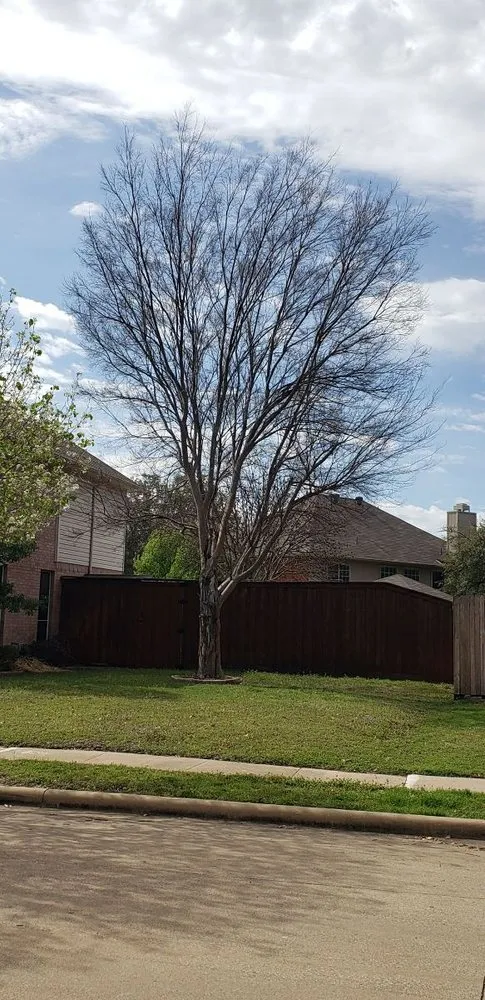 Custom garden landscaping experts serving North Richland Hills, TX - Texan Outdoor Services