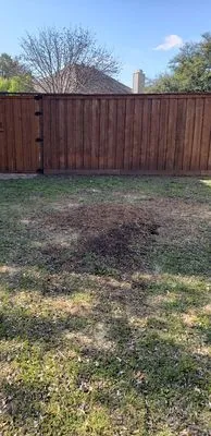 Texan Outdoor Services Logo