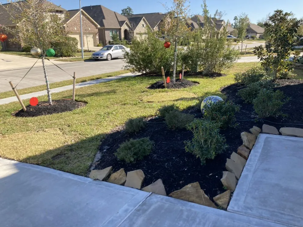Reliable landscape design in Conroe, TX - Texan Power Washing and Restorations
