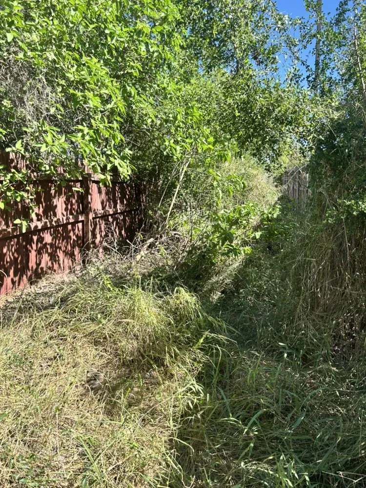 Trusted lawn care service in Edinburg, TX - Texan Pro Build & Removal