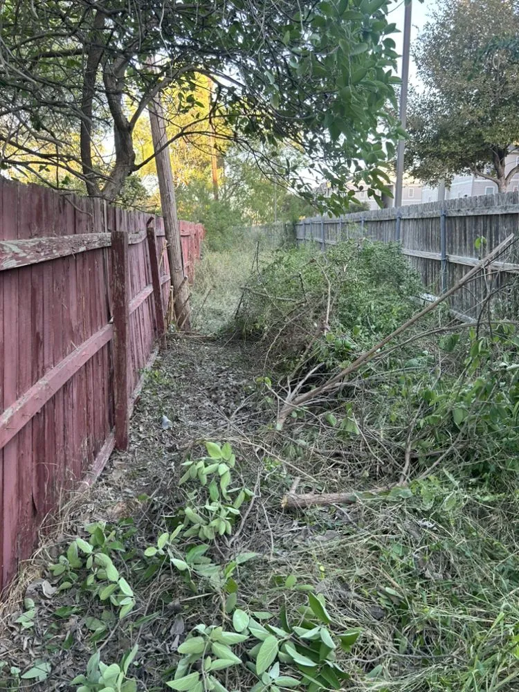 Reliable yard cleanup service in Edinburg, TX by Texan Pro Build & Removal