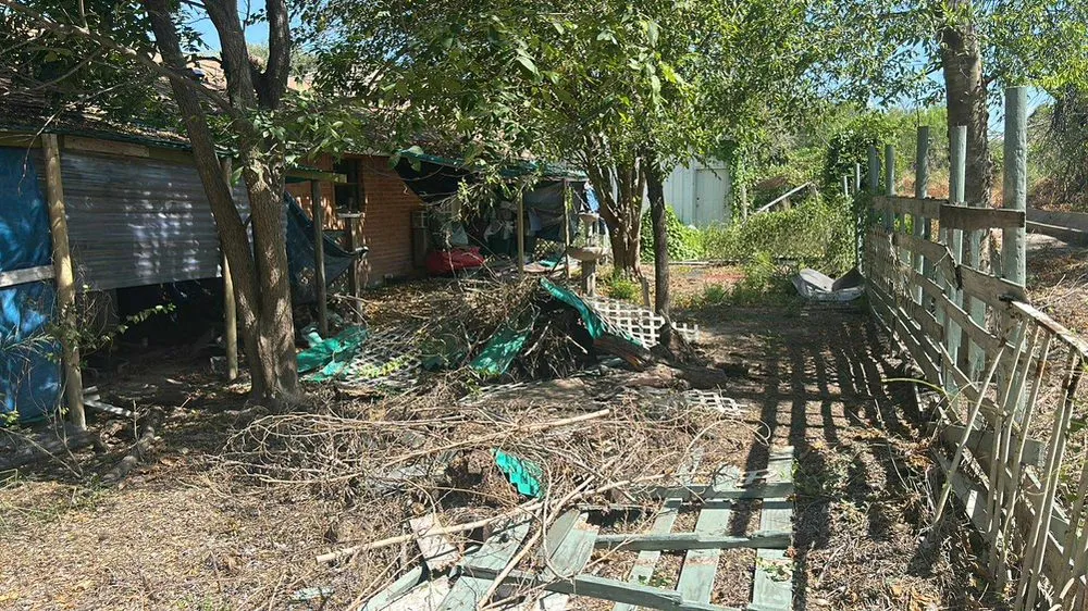 Top-rated landscaping services in Edinburg, TX by Texan Pro Build & Removal