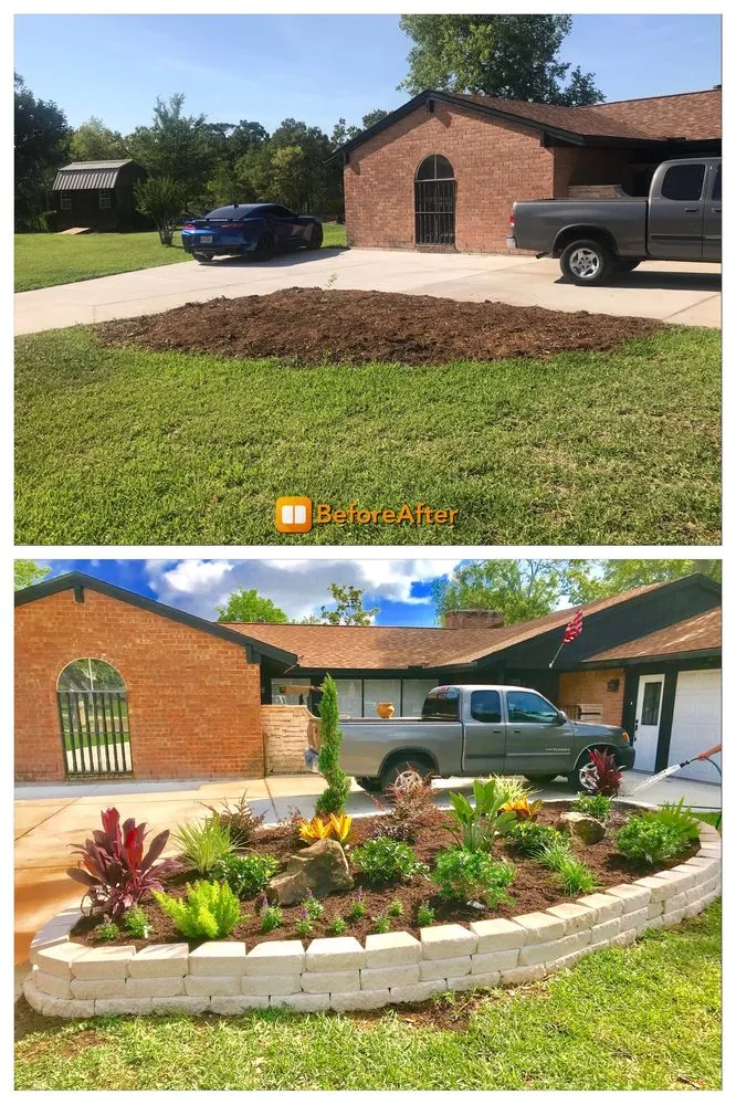 Local yard cleanup service in Houston, TX - Texan Shine Services