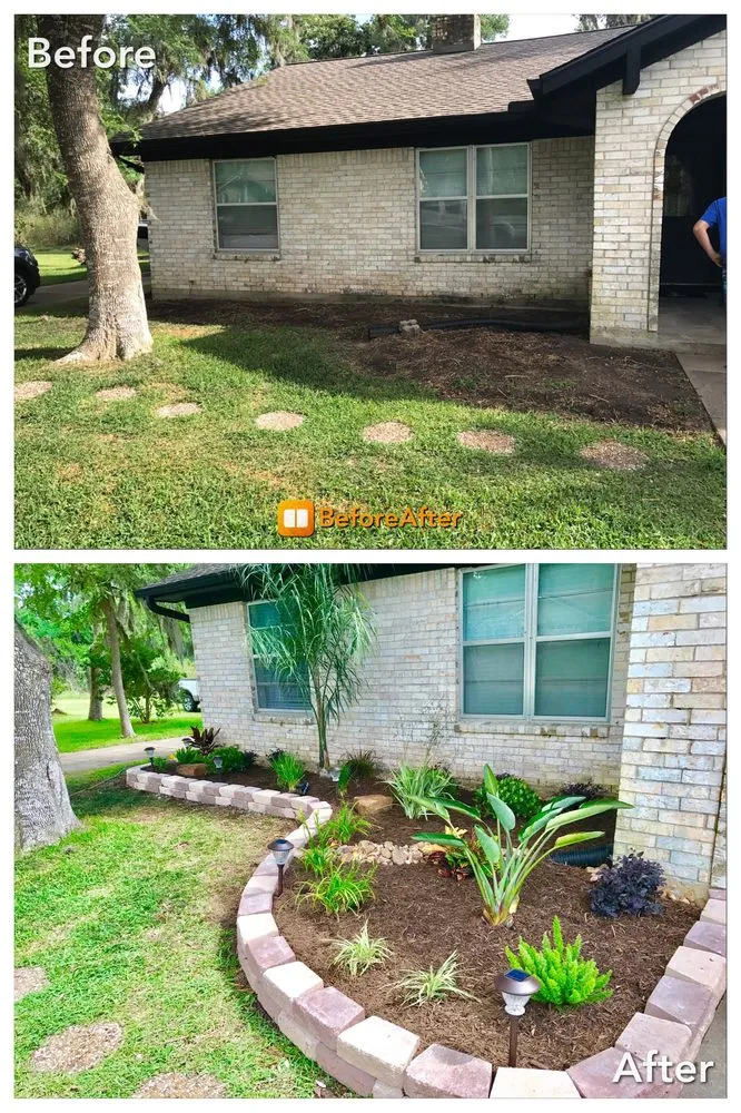 Professional landscape design in Houston, TX - Texan Shine Services