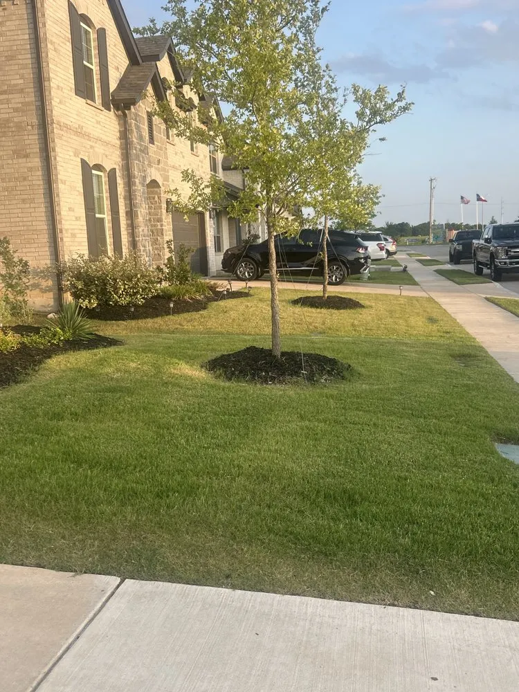 Trusted landscaping services for year-round maintenance in Royse City, TX by Texans Landscaping