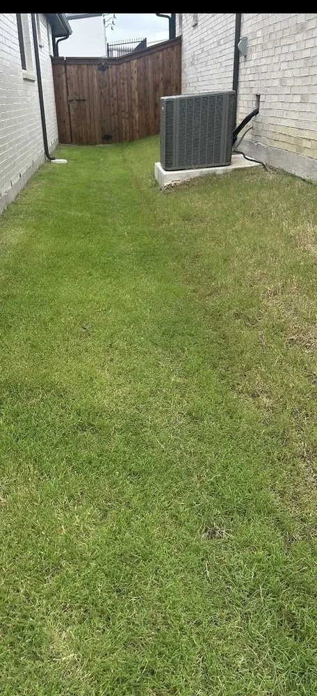 Local yard cleanup service experts serving Royse City, TX - Texans Landscaping