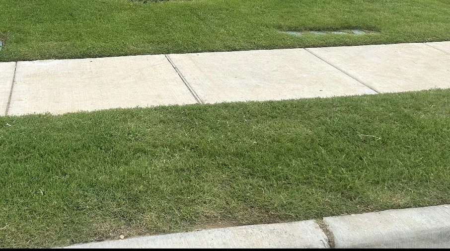 Local landscape installation for beautiful yards in Royse City, TX by Texans Landscaping