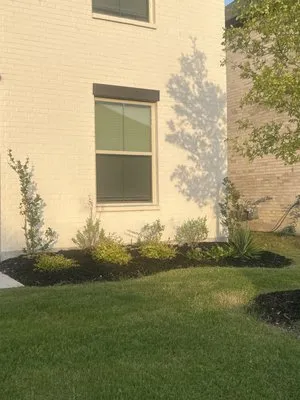 Texans Landscaping Logo