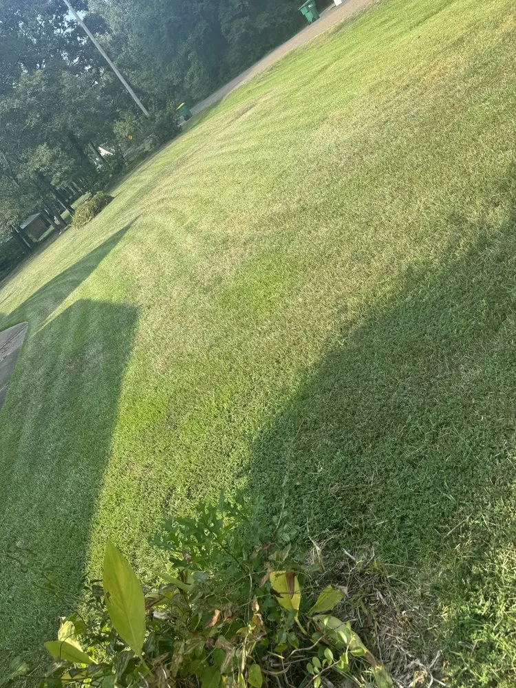 Professional lawn mowing service in Texarkana, TX - Texarkana Area Lawn and Home Services