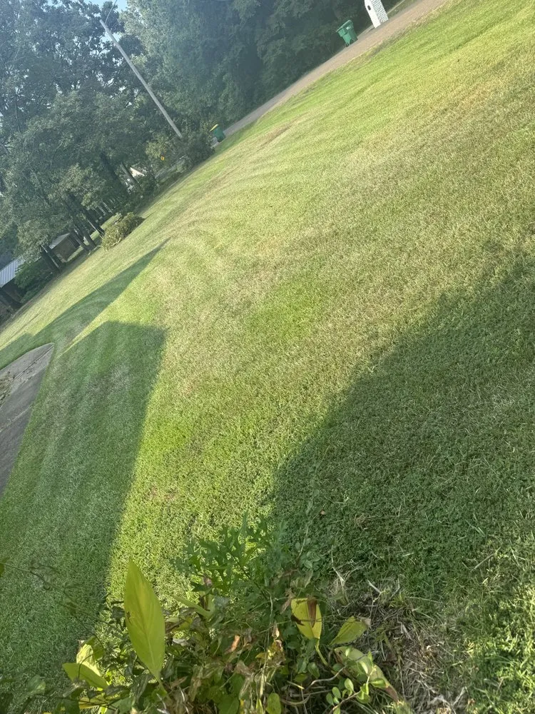 Trusted garden landscaping in Texarkana, TX - Texarkana Area Lawn and Home Services