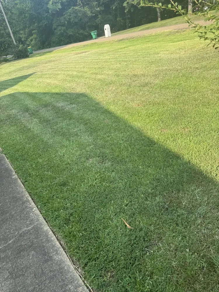 Local yard cleanup service experts serving Texarkana, TX - Texarkana Area Lawn and Home Services