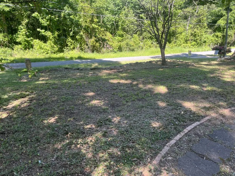 Professional lawn care service in Texarkana, AR - Texarkana Grass Masters