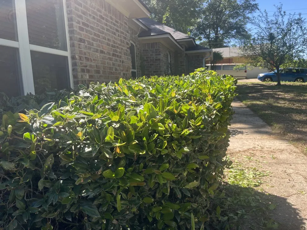 Top-rated lawn mowing service experts serving Texarkana, AR - Texarkana Grass Masters