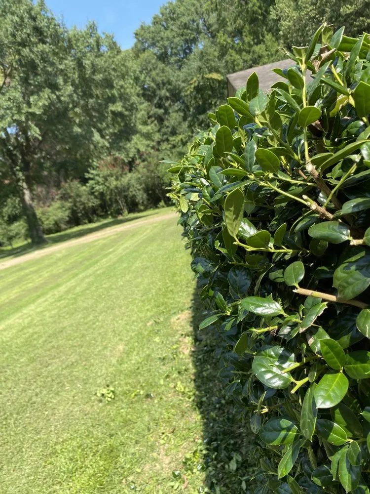 Custom garden landscaping for homes in Texarkana, AR by Texarkana Grass Masters