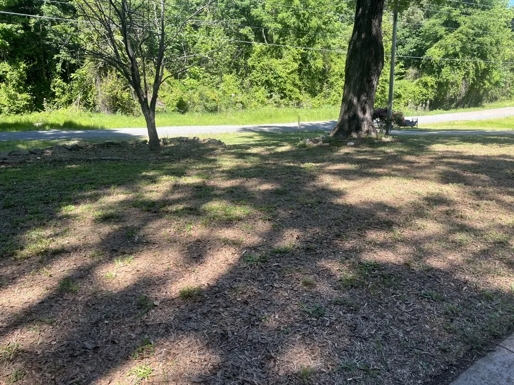 Top-rated yard cleanup service for outdoor upgrades across Texarkana, AR - Texarkana Grass Masters