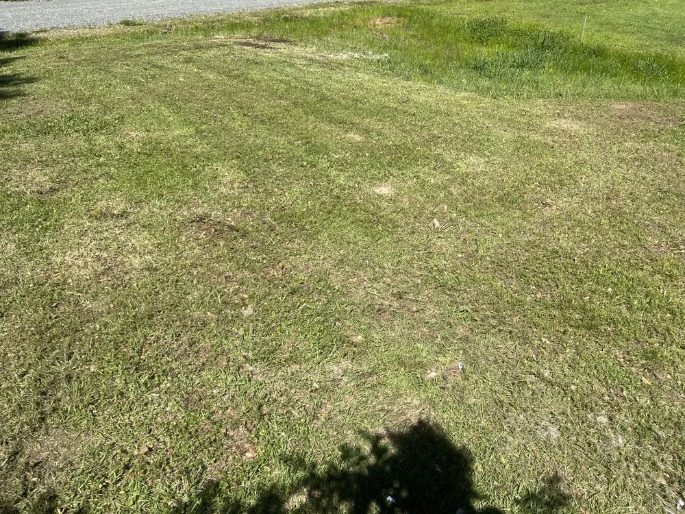 Top-rated yard cleanup service in Texarkana, AR by Texarkana Grass Masters