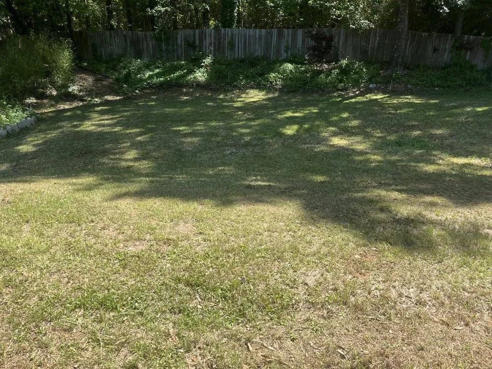 Trusted landscape design experts serving Texarkana, AR - Texarkana Grass Masters