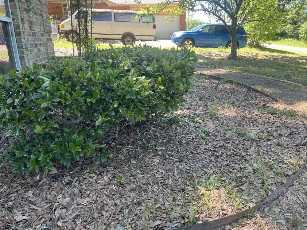 Top-rated landscape design experts serving Texarkana, AR - Texarkana Grass Masters