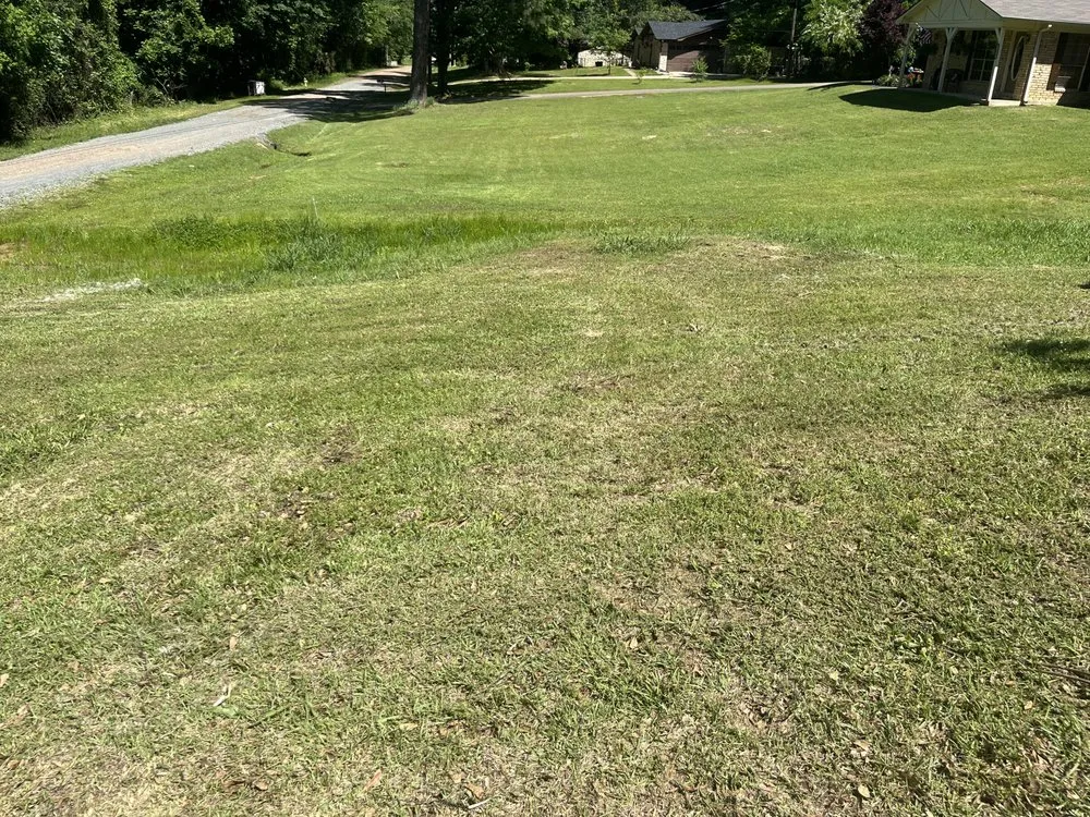 Top-rated landscape installation in Texarkana, AR by Texarkana Grass Masters