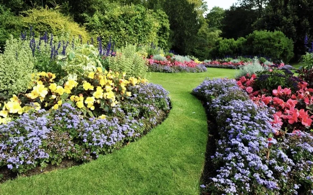 Expert yard cleanup service for beautiful yards across Dallas, TX - Texas 4 seasons