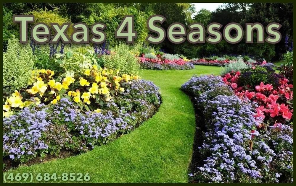 Local yard cleanup service in Dallas, TX by Texas 4 seasons