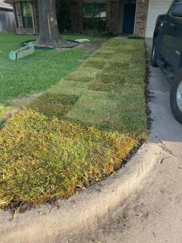 Custom outdoor landscaping for homes in Roanoke, TX by Texas 7teen Home Services