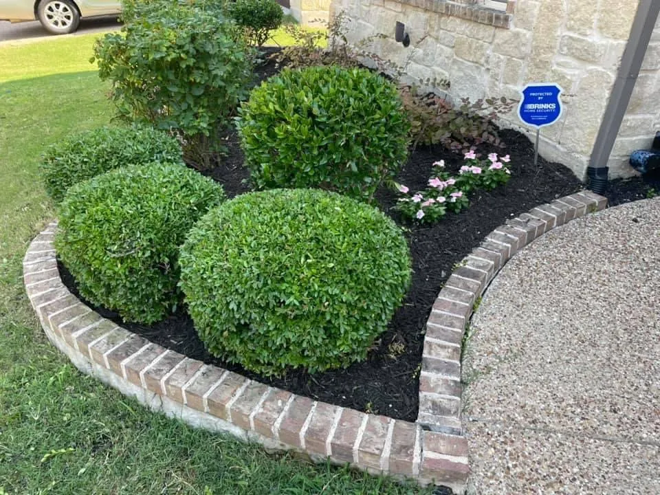 Local yard cleanup service experts serving Roanoke, TX - Texas 7teen Home Services