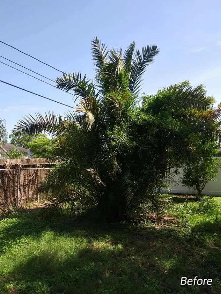 Professional garden landscaping in Corpus Christi, TX - Texas Affordable