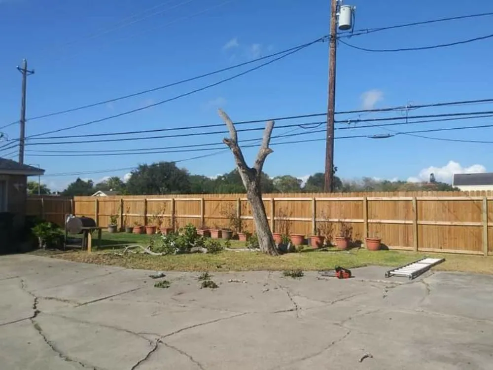 Local landscape design experts serving Corpus Christi, TX - Texas Affordable