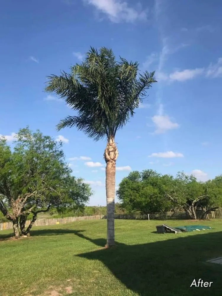 Local landscape design with custom design in Corpus Christi, TX by Texas Affordable