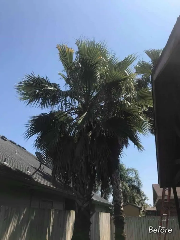 Custom outdoor landscaping near you across Corpus Christi, TX - Texas Affordable