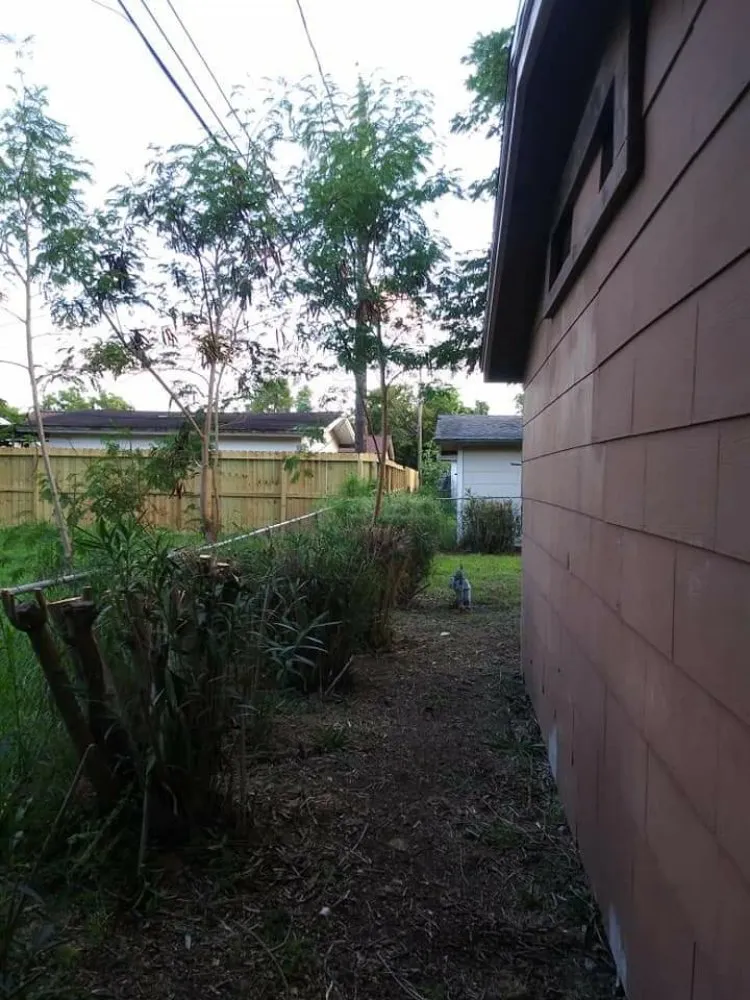 Top-rated landscaping services in Corpus Christi, TX - Texas Affordable